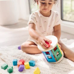 Match and Roll Shape Sorter