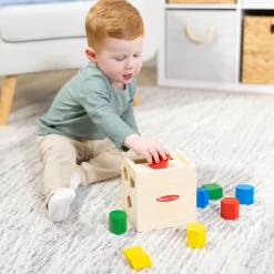Shape-Sorting Cube